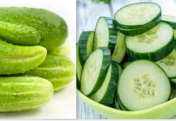 KNOW YOUR FRUITS SERIES: 9 – Cucumber