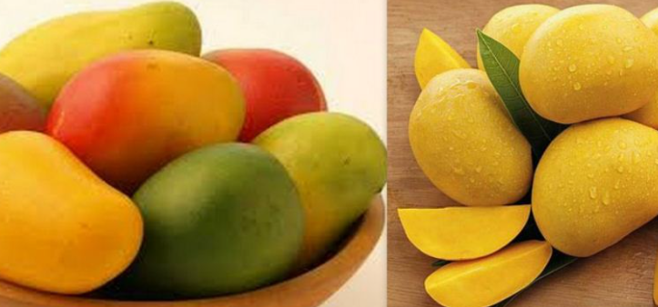 YOUR LOCAL FRUITS: SERIES 6 – Mango