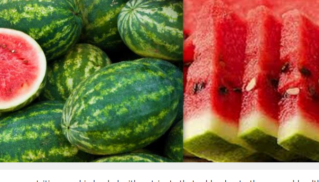 Your Local Fruits: Series 4 – Water Melon