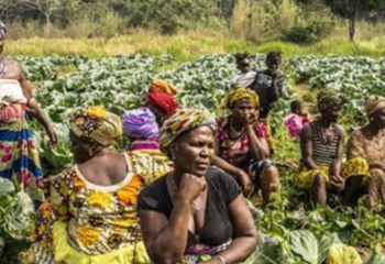 We can’t discuss nutrition without smallholder farmers