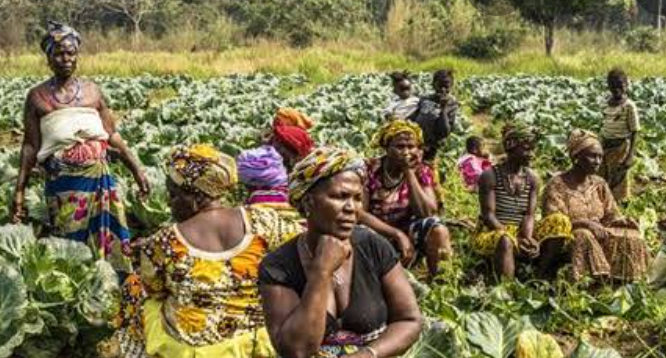 We can’t discuss nutrition without smallholder farmers