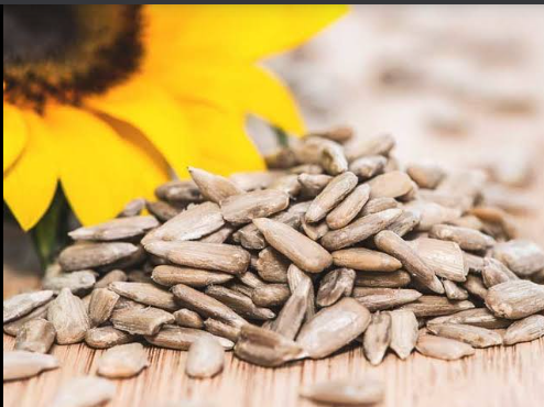 Sunflower seeds: Nutritional and health benefits