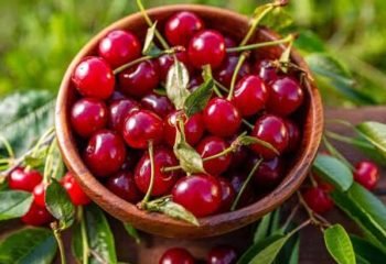 How to Differentiate Between Tart and Sweet Cherries