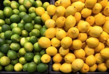 Everything To Know About Lemon And Lime