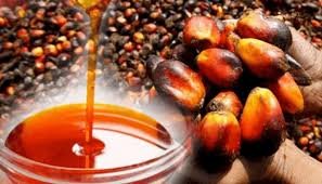 Palm oil