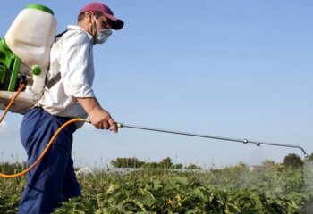 Pesticide Exposure: Risk of Cancer as Much as Smoking