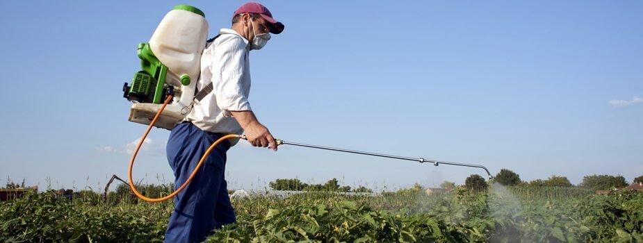 Pesticide Exposure: Risk of Cancer as Much as Smoking