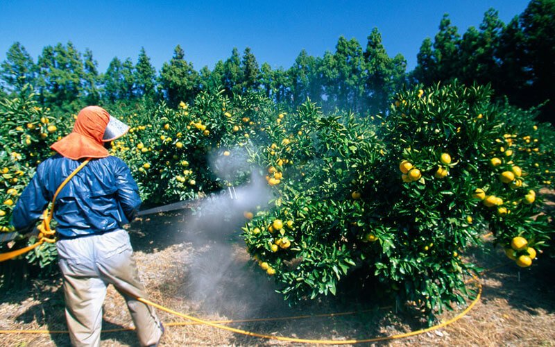 pesticide exposure