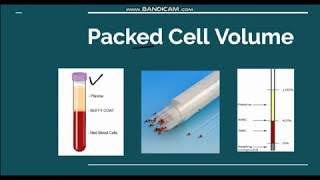 Packed Cell Volume