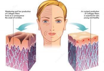 Everything To Know About Collagen: It’s Anti-Aging Benefits